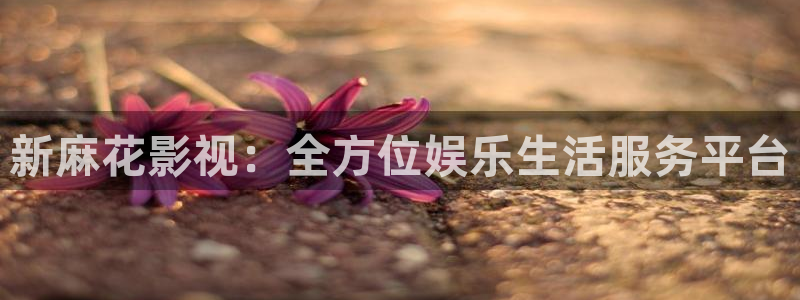 不卡午夜神马影院