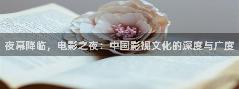 神马电影我不卡网：夜幕降临，电影之夜：中国影视文化的深度与广度